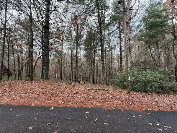 Ellijay, GA 30540,Lot 235 Toccoa Court