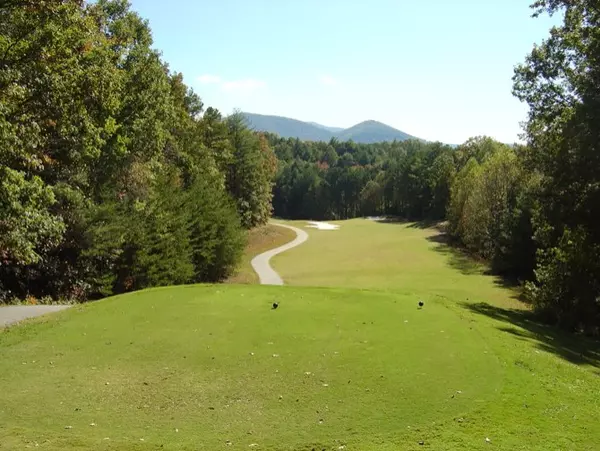 Ellijay, GA 30540,Lot 235 Toccoa Court