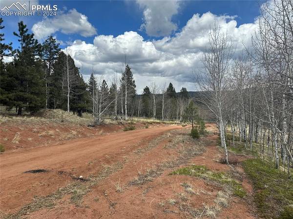 Stone Ridge DR, Woodland Park, CO 80863