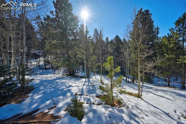 412 Princess RD, Cripple Creek, CO 80813