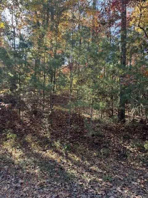 Blue Ridge, GA 30513,11 Mill Creek Acres