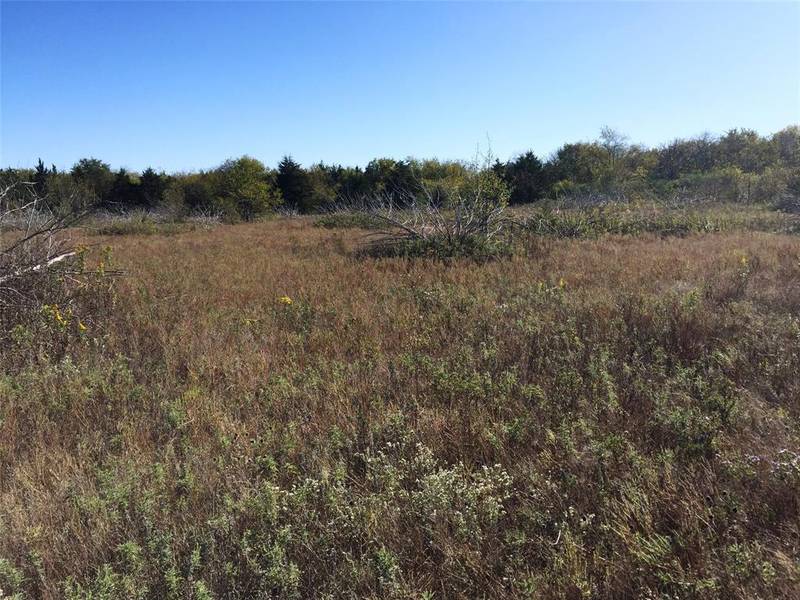 46+ AC Hwy 82, Bonham, TX 75418