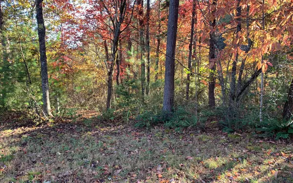 Warne, NC 28909,2B Ashley Trail