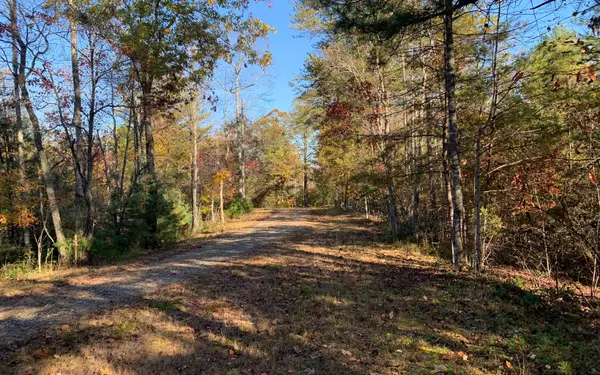 Warne, NC 28909,2B Ashley Trail