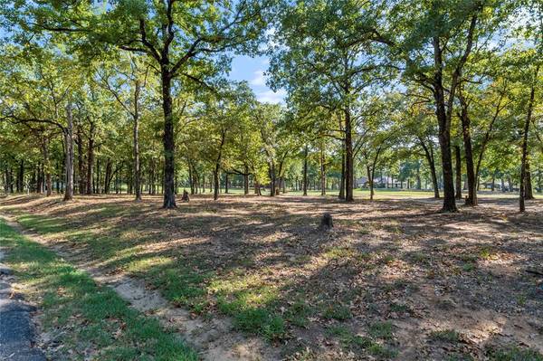 Mabank, TX 75156,00 Colonial Drive