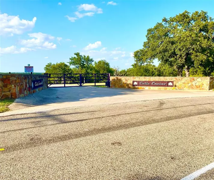 117 Calle Encino Lane, Millsap, TX 76066