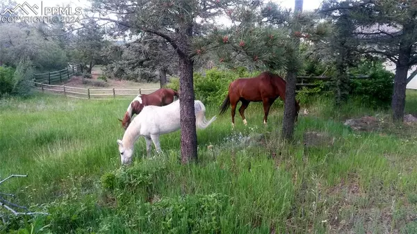 Colorado Springs, CO 80906,3120 Bonne Vista DR