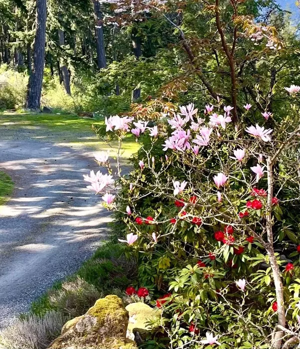 Salt Spring, BC V8K 2C7,241 Sky Valley Rd