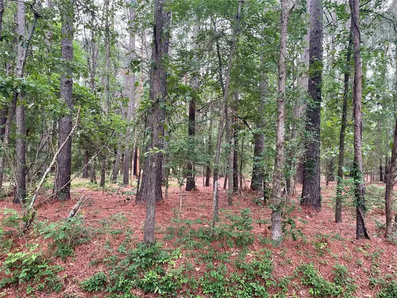 20312 County Road 4106 #Lot 13, Lindale, TX 75771