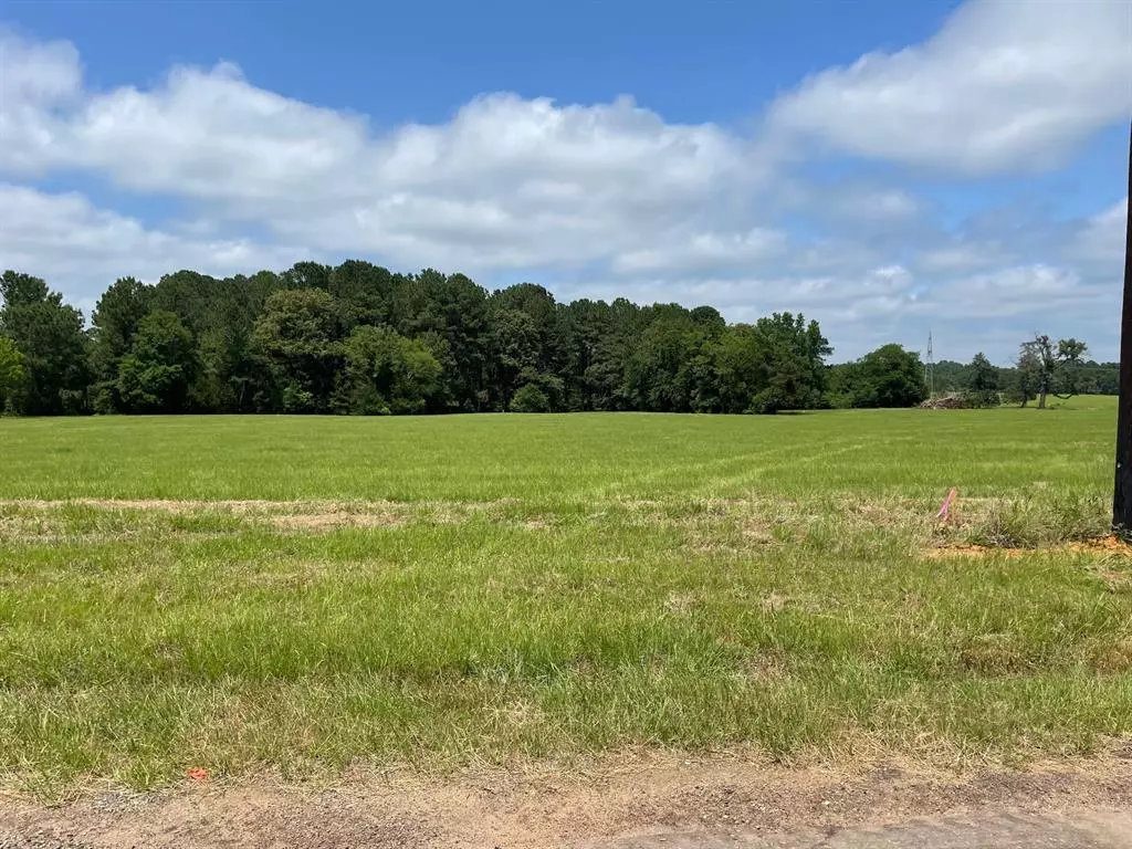 Lindale, TX 75771,20255 County Road 4126 #Lot 4B