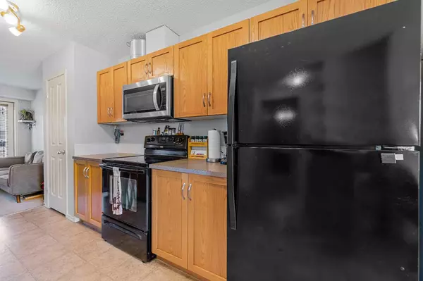 Calgary, AB T3J 0G5,262 Saddlebrook PT NE