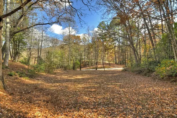 Blue Ridge, GA 30513,23.26 Ac Weaver Creek Road