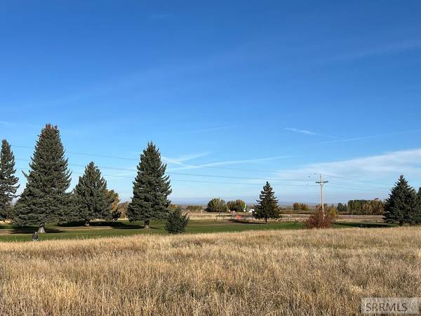 689 N 2780 E, St Anthony, ID 83445