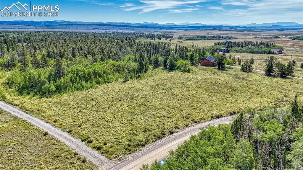 Lot 020 Vine RD, Fairplay, CO 80440