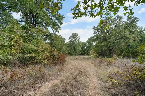 Perrin, TX 76486,Lot 17 Double B Ranch Road S