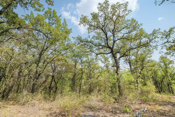 Perrin, TX 76486,Lot 13 Double B Ranch Road S