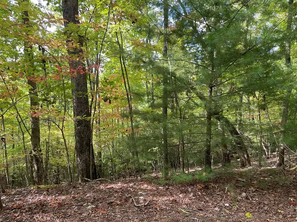 Murphy, NC 28906,Lot 30 High Ridge Road