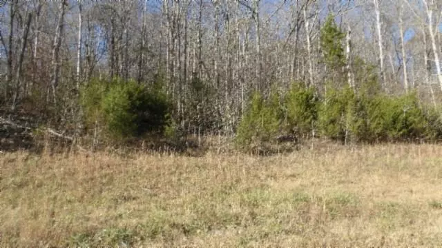 Jamestown, TN 38556,Lot 46 Cheyenne Drive