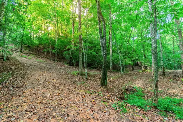 Morganton, GA 30560,1.77 Mount Carmel Trail