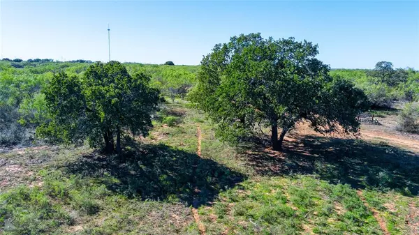 Moran, TX 76464,TBD County Road 213