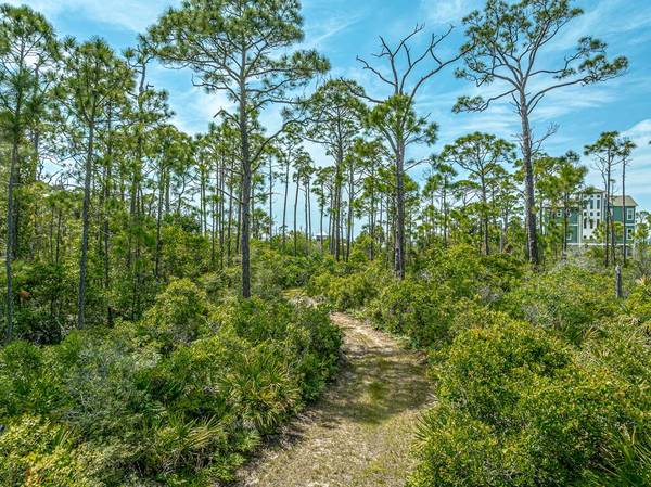 1831 Bayview Dr, St. George Island, FL 32328