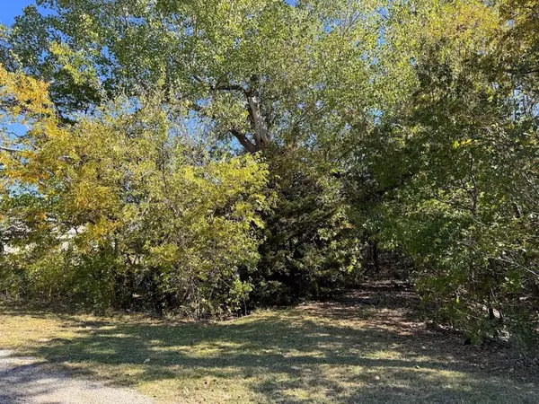 Runaway Bay, TX 76426,lot 24 Port O Call Drive