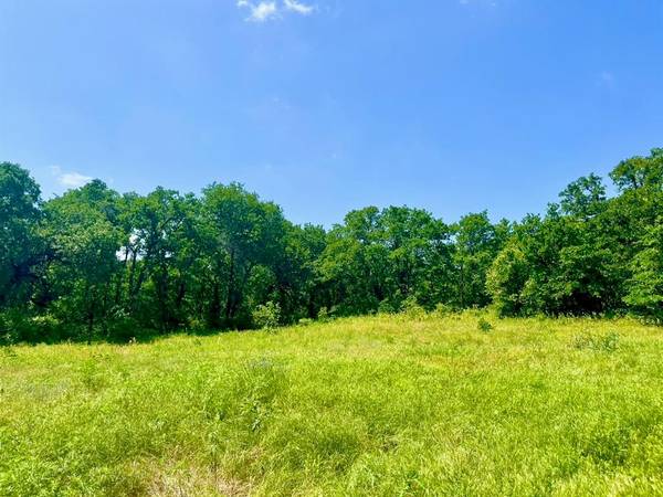 Lot 42 Antrim Ct, Poolville, TX 76487