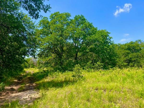 Poolville, TX 76487,Lot 42 Antrim Ct