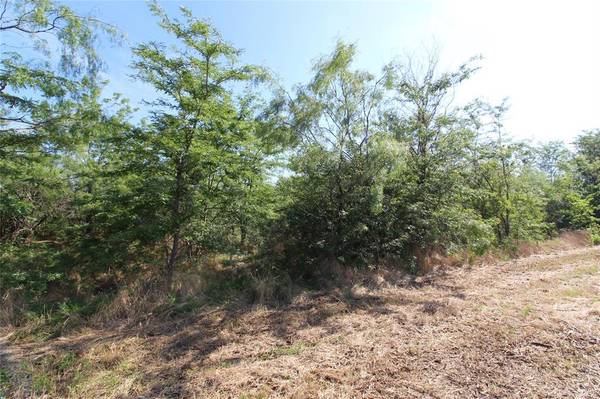 TBD Lot 6 FM 2860, Kaufman, TX 75142