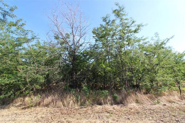 Kaufman, TX 75142,TBD Lot 6 FM 2860