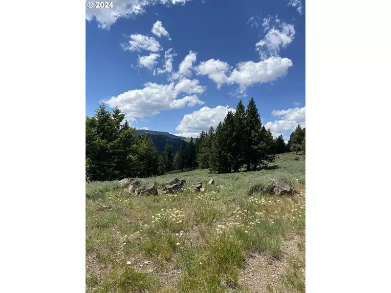 0 Elk Creek Rd., Baker City, OR 97814