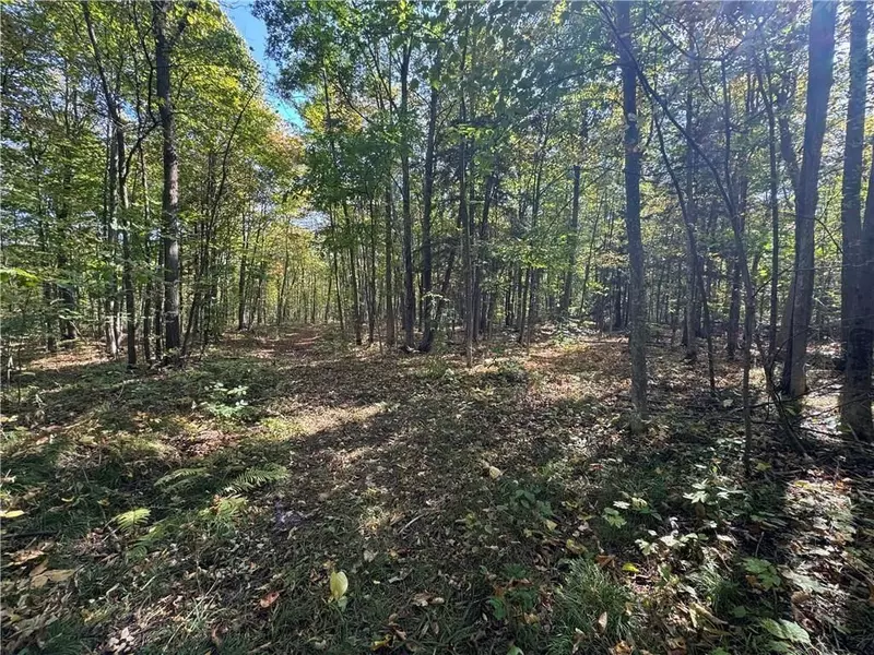 Lot BEAVERBROOK RD, South Glengarry, ON K0C 1S0