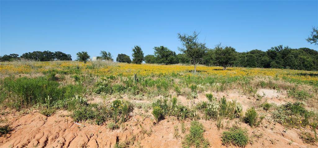 1084 Gonzollas Road, Springtown, TX 76082