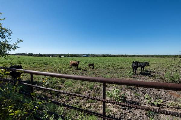 Hico, TX 76457,1204 County Road 122 Road