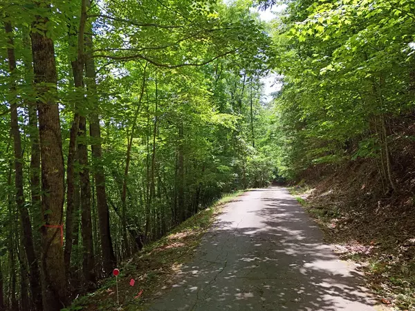 Hiawassee, GA 30548,Lot 30 Hidden Summit Road