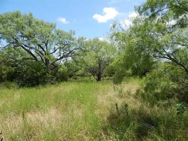 Bangs, TX 76823,12200 County Road 142