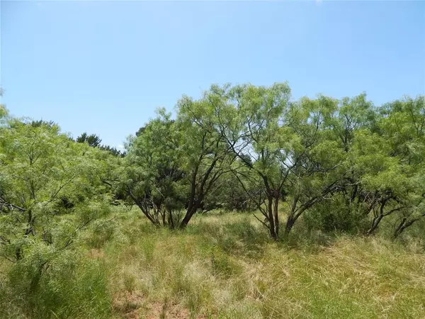 Bangs, TX 76823,12200 County Road 142