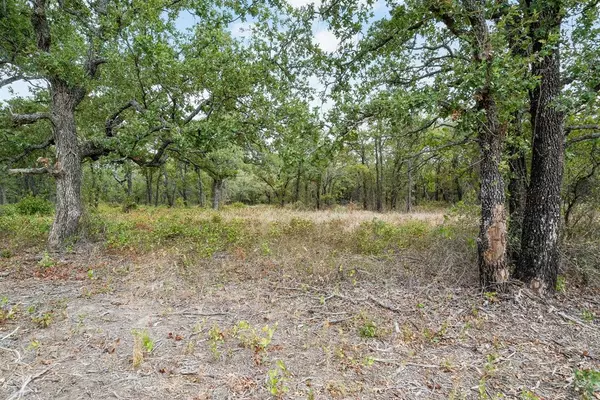 Perrin, TX 76486,Lot 13 Double B Ranch Road S