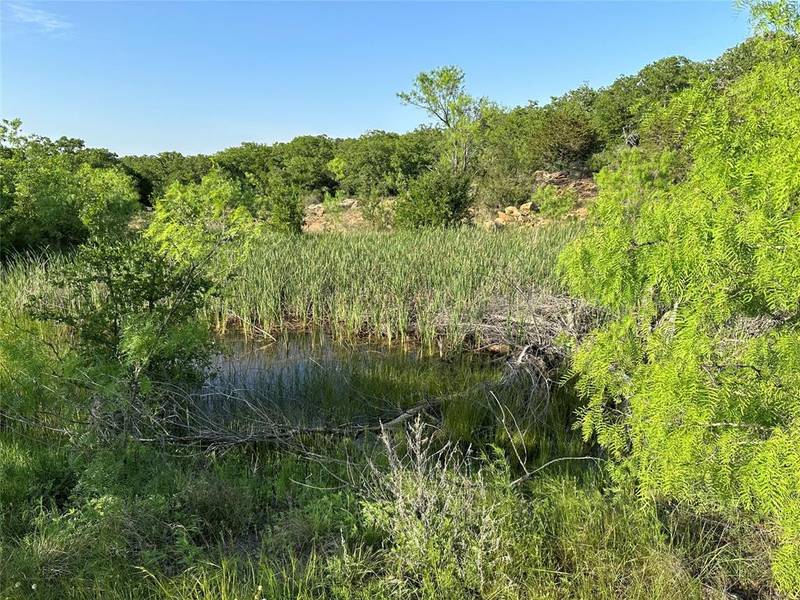 5730 Gobbler Hollow, Brownwood, TX 76801