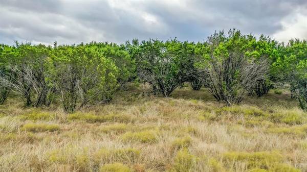 Bluff Dale, TX 76433,3830 Skyline Drive