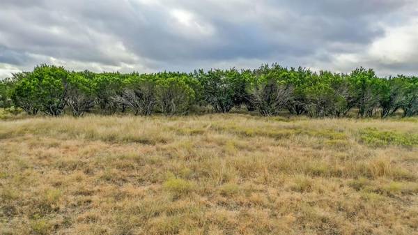 Bluff Dale, TX 76433,3830 Skyline Drive