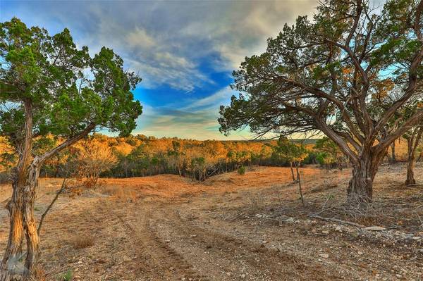 35 Acres County Road 322, Tuscola, TX 79562