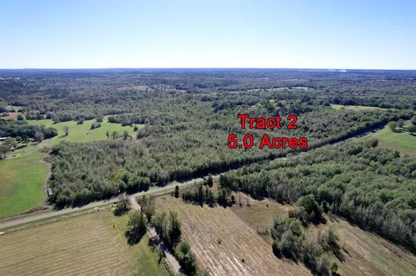 5 Acres Tract 2 FM 2455, Pittsburg, TX 75686