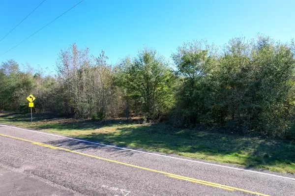 Pittsburg, TX 75686,5 Acres Tract 2 FM 2455