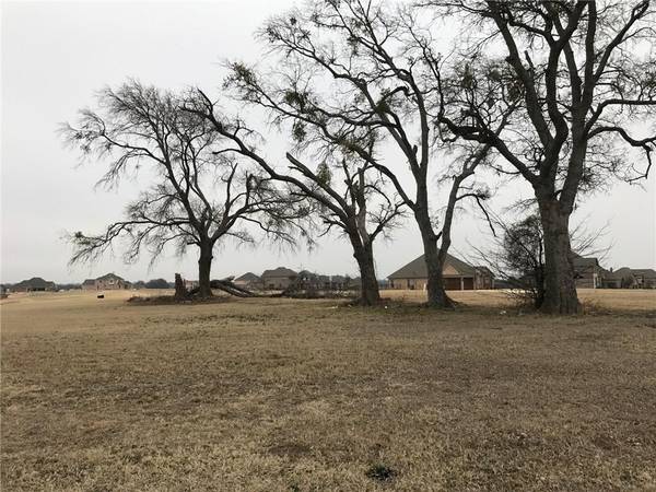 Gunter, TX 75058,1922 Running Deer Lane