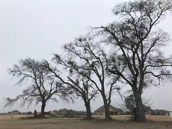 Gunter, TX 75058,1922 Running Deer Lane