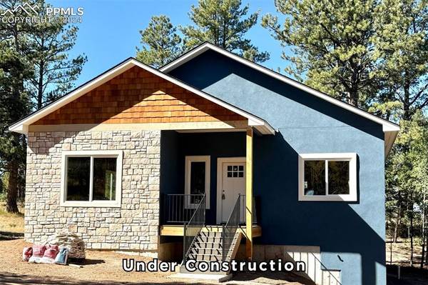 393 S Mountain Estates RD, Florissant, CO 80816