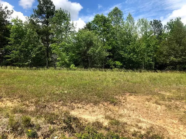 Jamestown, TN 38556,Lot 6 Nichol Creek Dr