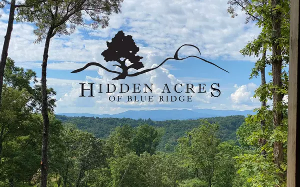 Blue Ridge, GA 30513,LT 15 Hidden Acres