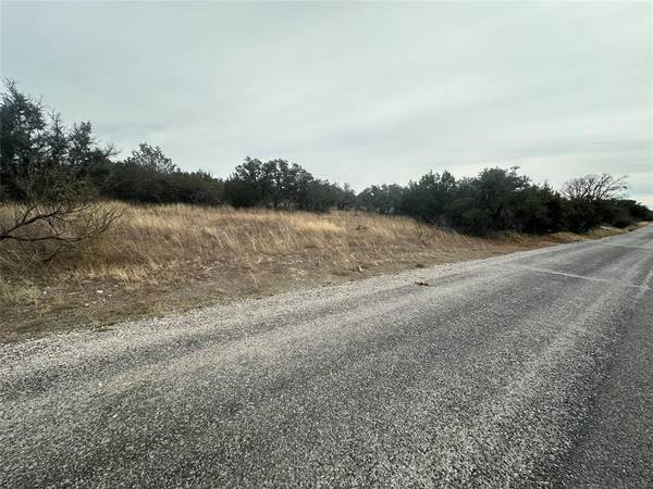 Brownwood, TX 76801,TBD lots 28, 30 County Road 589